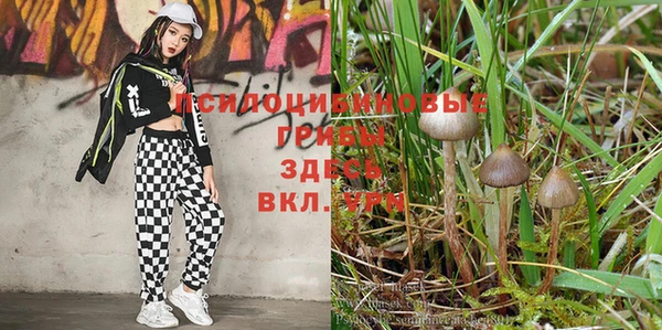 трава Волосово